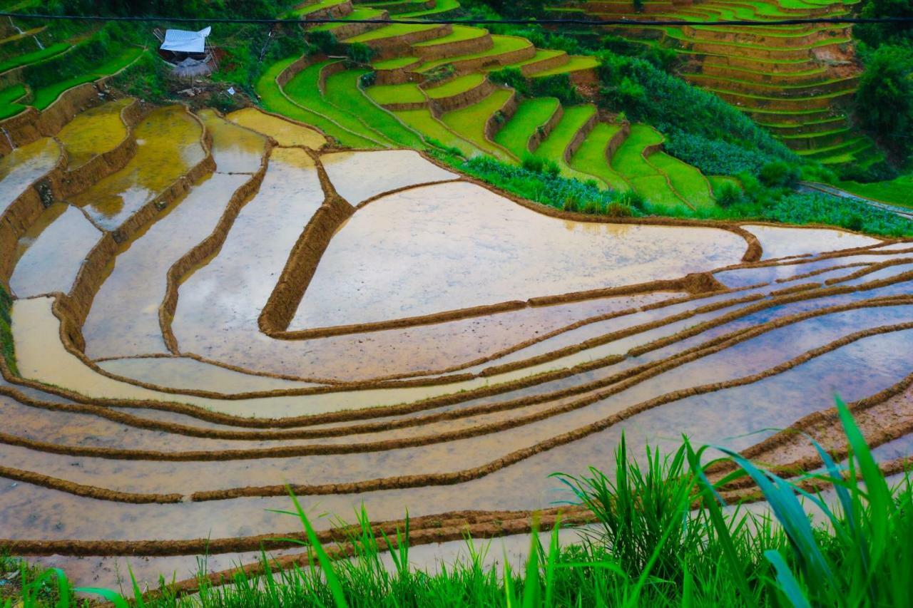 Do Gu Homestay Mu Cang Chai Exterior foto