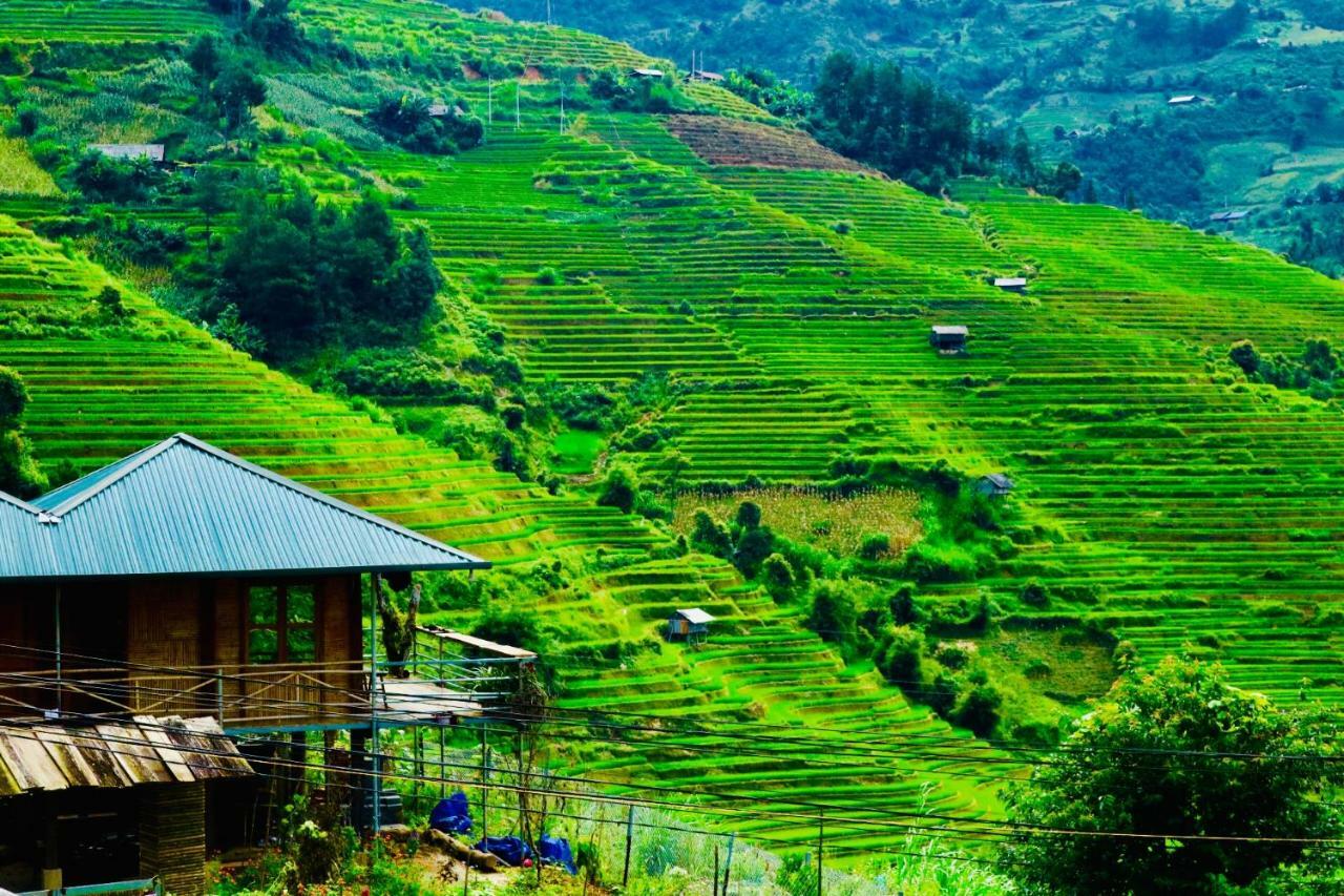 Do Gu Homestay Mu Cang Chai Exterior foto